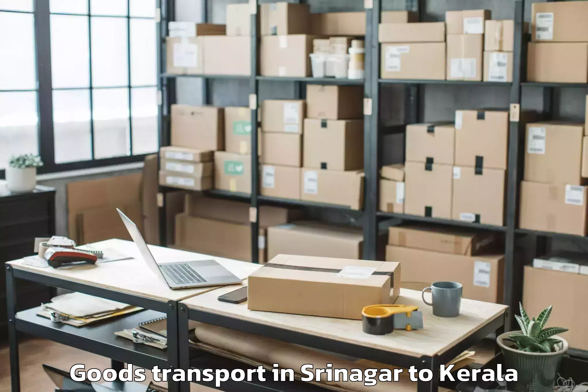 Professional Srinagar to Punalur Goods Transport